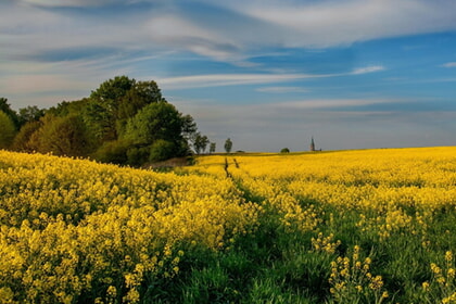 Predigtsommer 2025