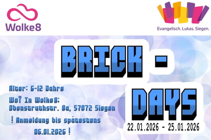 BRICK-Days